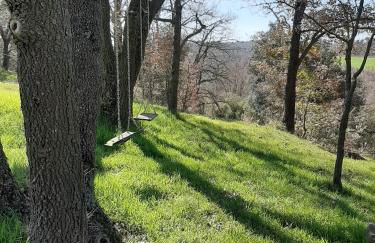 Allotjament Rural Solsona - Photo 39