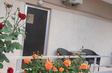 STUDIOS MONA - Photo 14