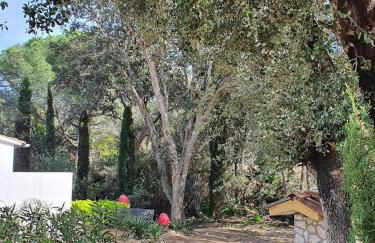 Mas Mundo - 4 Ferienhäuser in Calonge / Girona - Foto 58