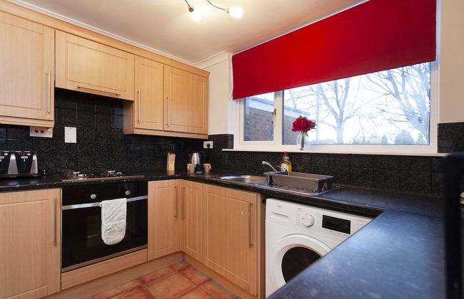 Mega Shelley - Foto 9