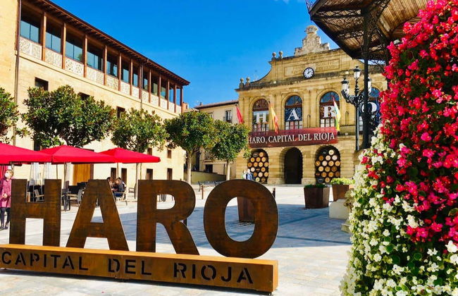 Excursión a Laguardia y Haro con visita a dos bodegas - Foto 3