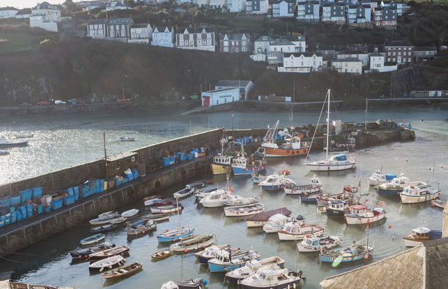 Cherry Orchard House - Foto 56