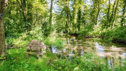 NEW Till Cottage & Riverside Gardens nr Stonehenge - Foto 4