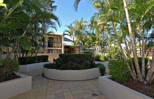 Spring Hill Mews Apartments - Photo 55