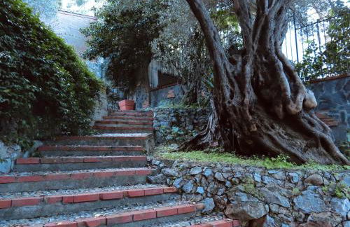 Dimidia - casa vacanze mare montagna - Foto 21