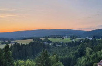 Ferienwohnung Niels im Hause Bergland Altreichenau - Foto 29