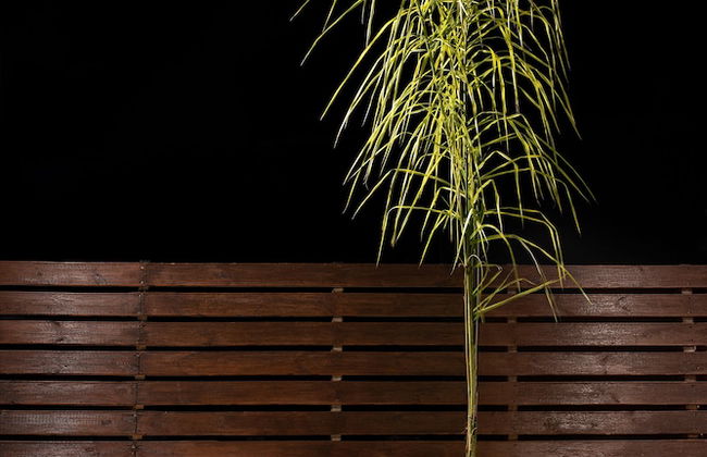 Sea View Hotel & Apartments - Foto 79