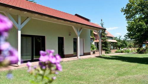 Pension am Hasenberg - Photo 3