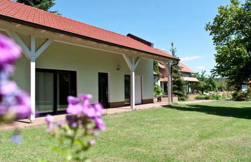 Pension am Hasenberg - Foto 3