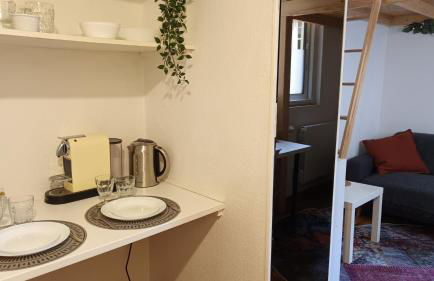 Petit Mignon - Hypercentre Toulouse - Foto 3