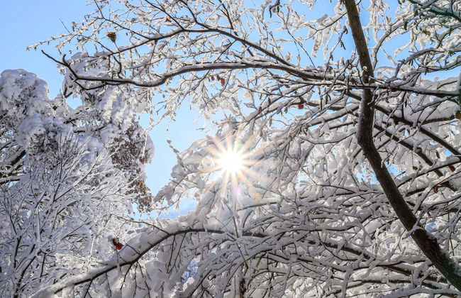 Apartment in Fulpmes Near Stubai Glacier - Foto 23