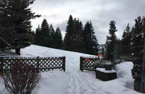 Studio ski aux pieds vue superbe sur les pistes - Foto 14