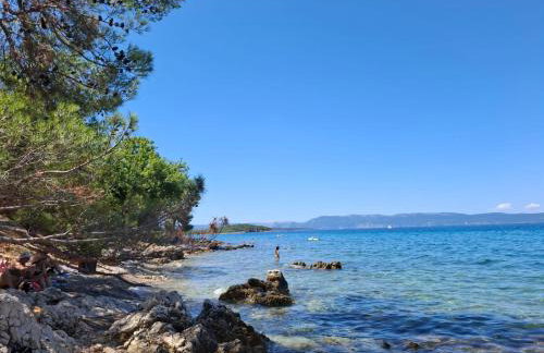 FoREST Heritage Apartment - Foto 57