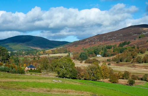 Silver Birch Treehouse - Foto 19