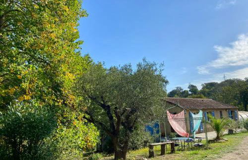 Maison au calme piscine mer au coeur de la nature U Nuciolu - Foto 11