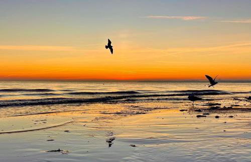 Villa Scharbeutz, Pönitz - Foto 38