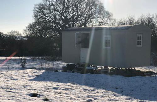 Romantic secluded Shepherd Hut Hares Rest - Foto 24