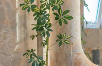 Luisa Holiday Home - Foto 24