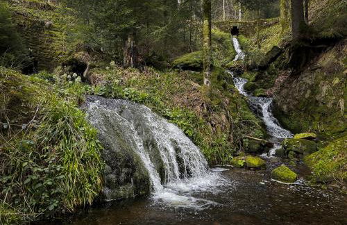 Sagenhafter Ausblick - Foto 30
