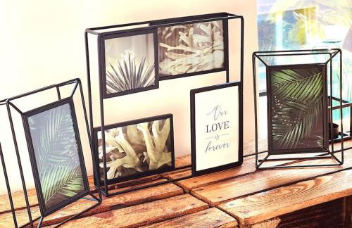 Suburban Jungle - Foto 14