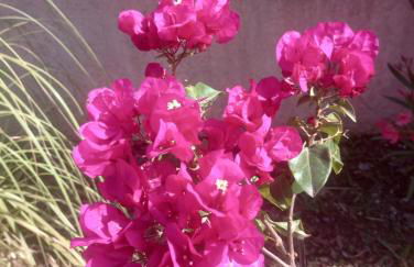 Entre Vignes & Piano "Symphonie" studio 4 personnes - Foto 41