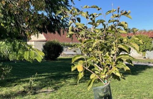 Gîte élégant avec grand jardin privé, idéalement situé près des châteaux et activités, tout inclus - FR-1-491-358 - Foto 16