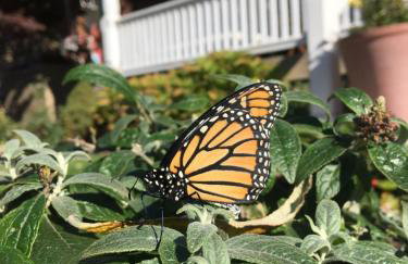 Historic Upstairs Apartment - Foto 17