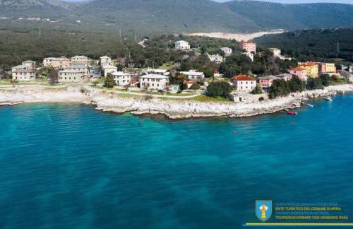 AriaDeMar - Photo 45