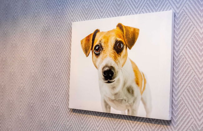 More Apartments na Estonskoy 37 k 6 - Foto 22