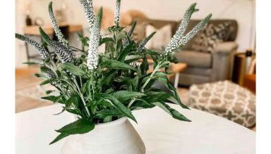 Southern Comfort - Hot tub - Modern - Relaxing - Foto 5