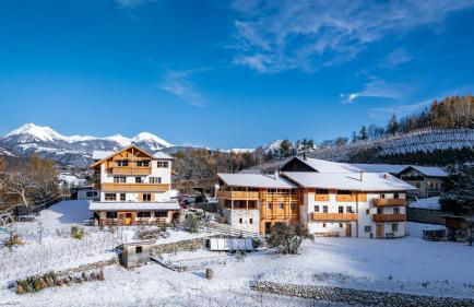 Trinnerhof- Hof Chalets und Obsthof - Photo 1