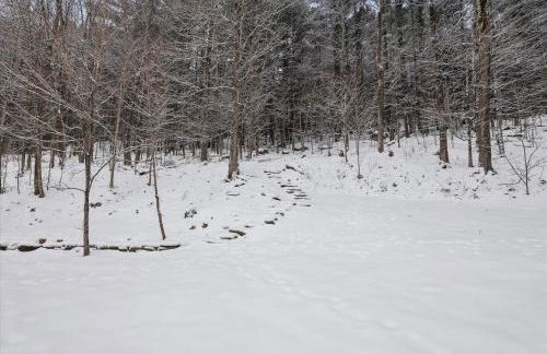 The Cozy Villager - Foto 27