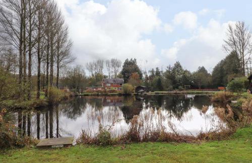 Lakeview Lodge - Foto 33