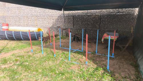 Simple 2-Person Apartment near Altdorf - Foto 3