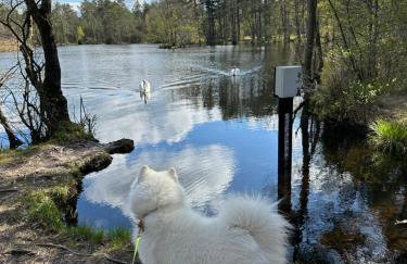 Domki Skandynawskie Kopalino - Foto 3