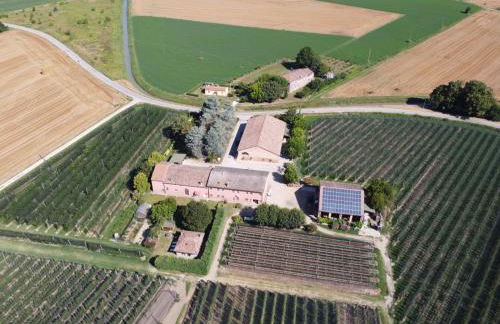 Agriturismo Fondo Novelle La Casina - Foto 39