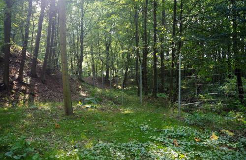 Ranczo w Dolinie Biskupice - Foto 4