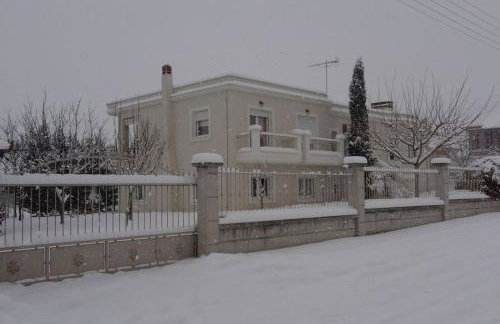 Vintage Garden House - Photo 4