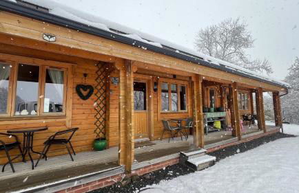 Cherry Cabin - Little Log Cabin in Wales - Foto 28