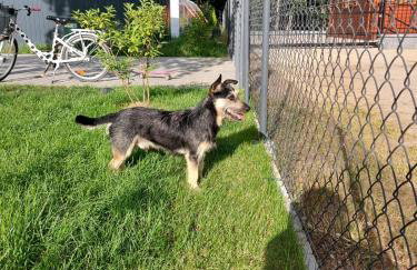 Pauza Drzewoszewo - Dom nad jeziorem - Foto 36