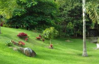 Quinta da Pedra do Elefante - Foto 12