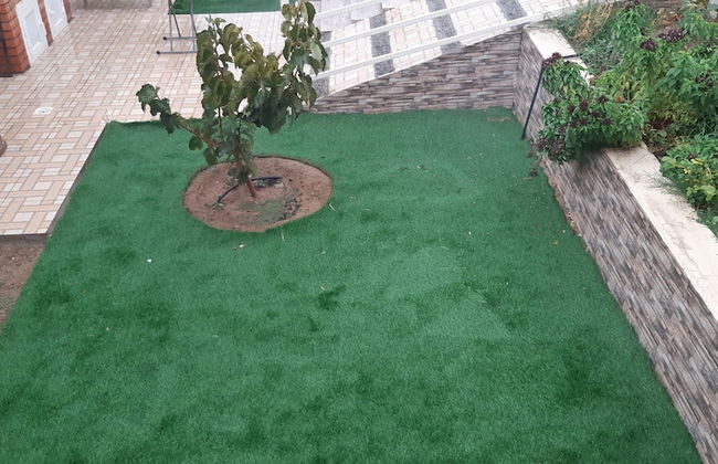 Alestiraha Elegant - Foto 19