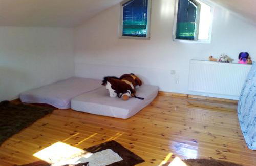 Ginî Viñis - Foto 22