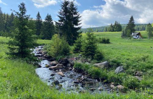 Ferienapartments Försterei Eibenstock - Foto 38