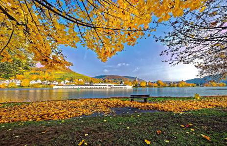 Casa Schneider - Urlaub an der Mittelmosel - Foto 12