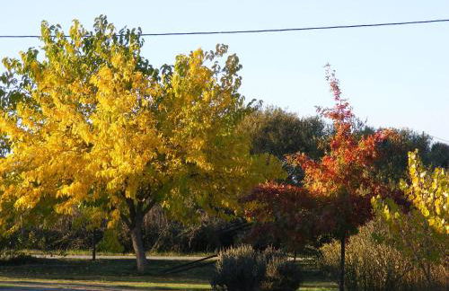 Quinta dos Trevos - Artes e Ofícios - Foto 26