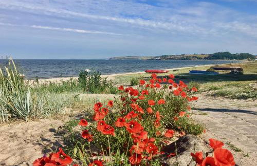 Haus Concordia 2 Möwennest - Foto 47