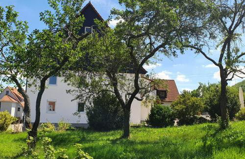 Landgasthof Lamm Ferienwohnungen - Foto 2