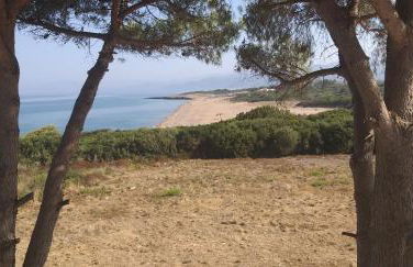 Tzanetos Seaside - Foto 24