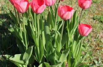 Haus Erlenmoos - Foto 17